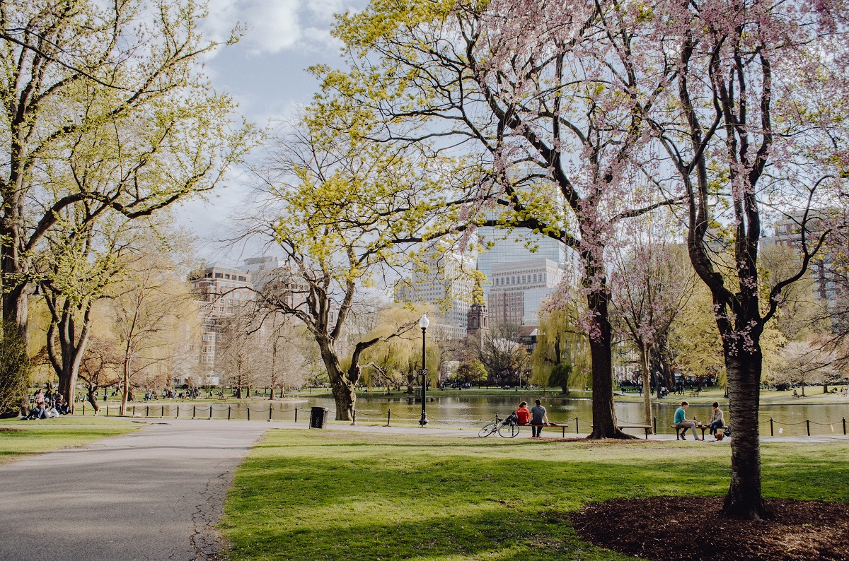 boston common in the spring with beautiful weather and bike riders