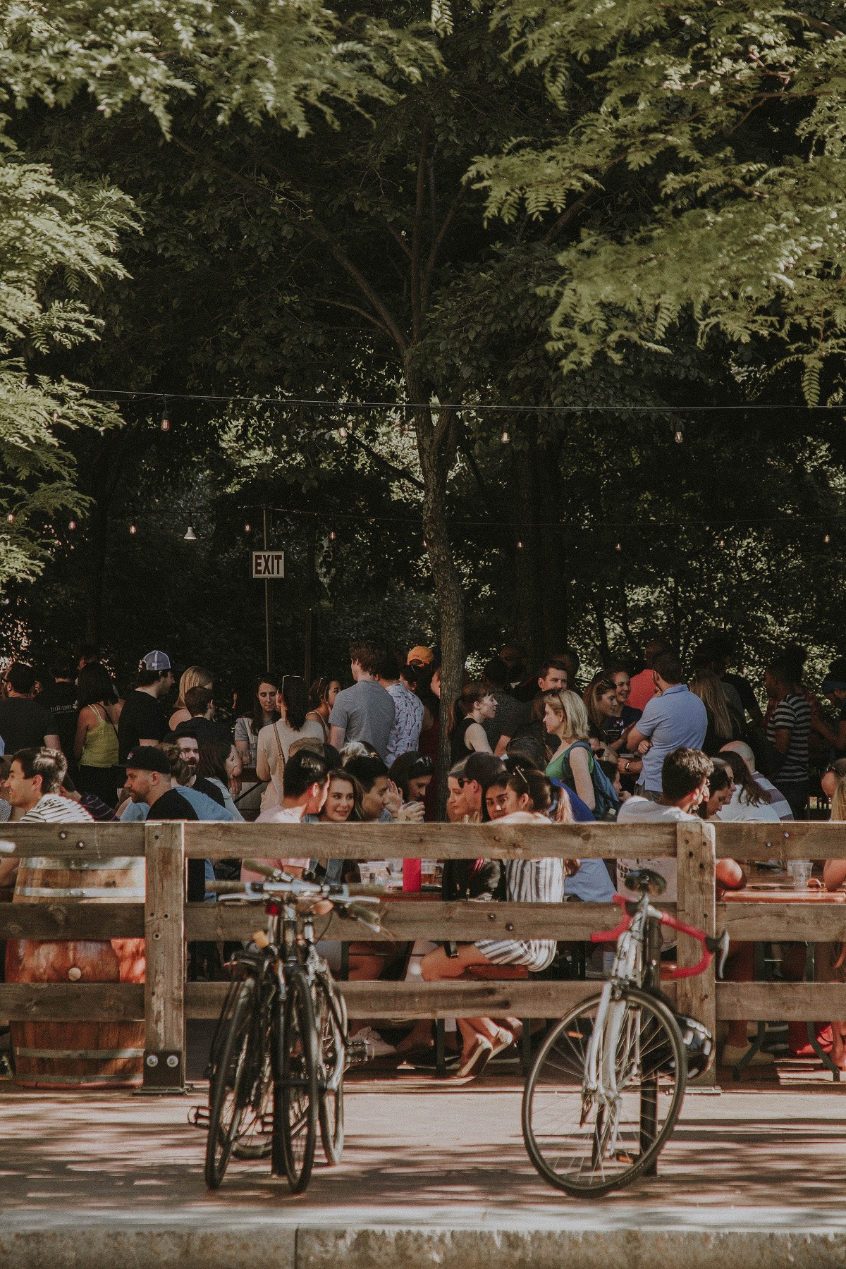 group of many people seated at picnic benches outside during the summer with two bikes in the foreground