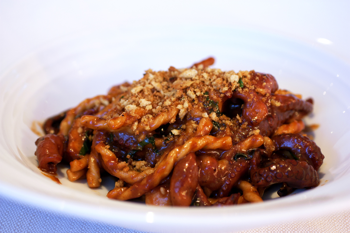 Fusilli pasta with red sauce and octopus