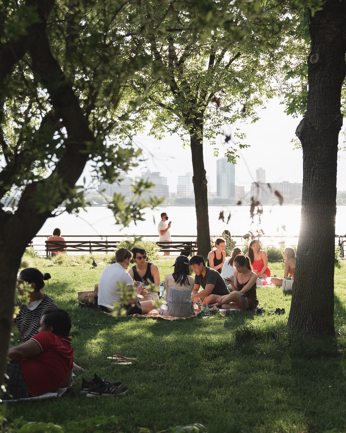 Small groups of people picnicing on a blanket under trees with the NYC skyline in the background