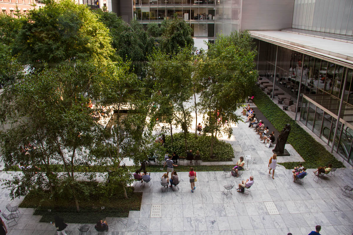 Garden at the MoMA Museum in NYC with trees and wide stone paths