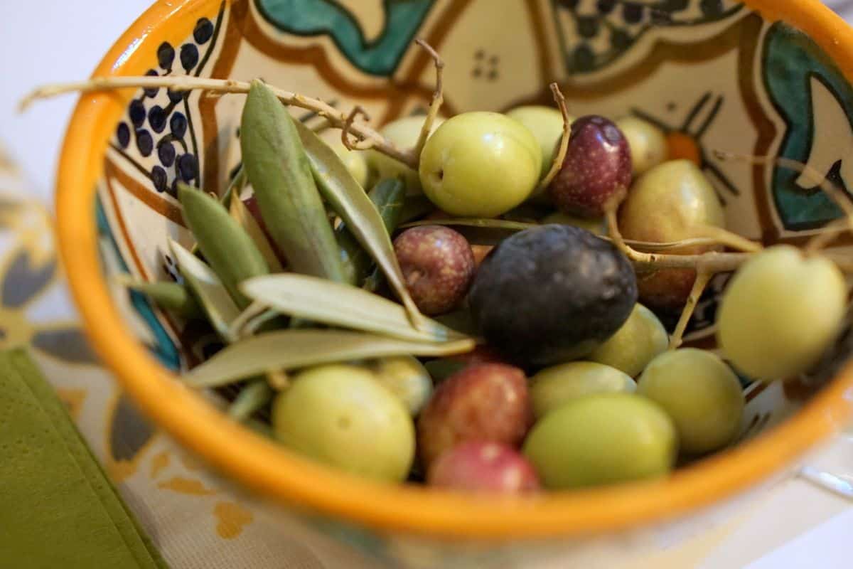 Close up of bright green and dark purple olives in a colorful dish.