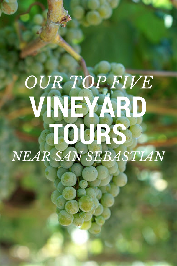 Do you love all things vino? Dive into the heart of the wine culture of the Basque Country with these amazing vineyard tours near San Sebastian!