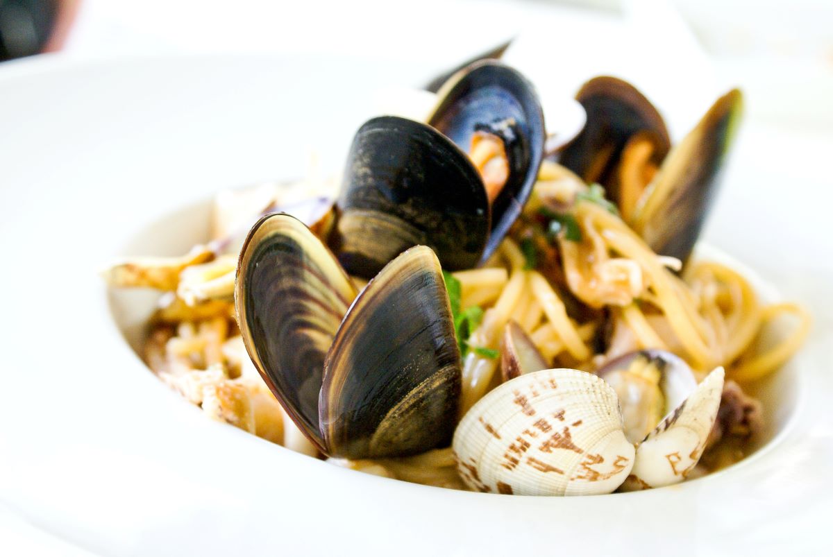 shellfish and pasta in white plate