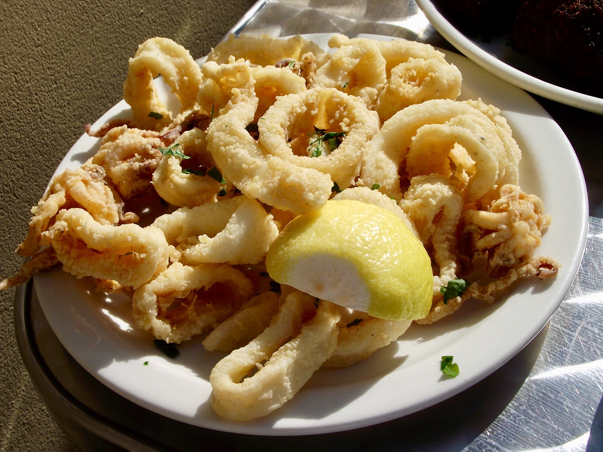 Close up of a plate of fried calamari