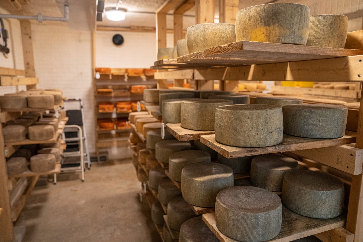 cheese wheels on wooden racks