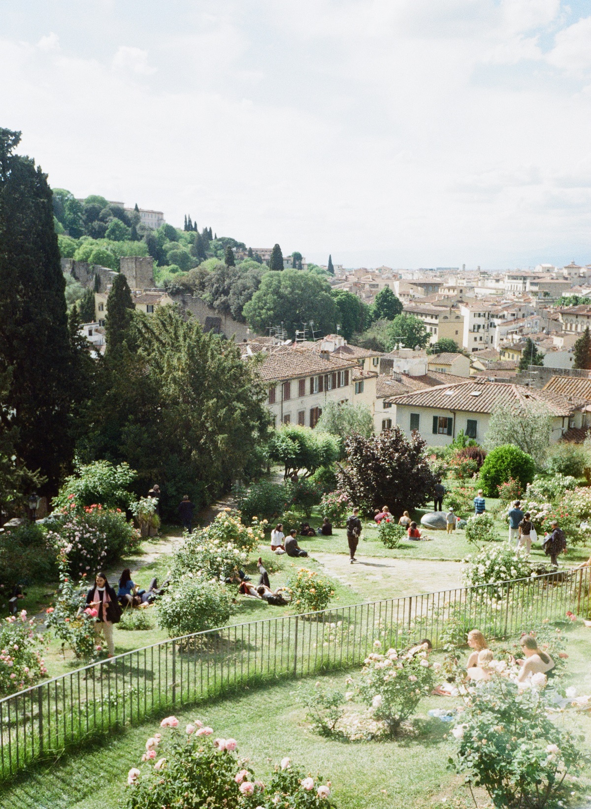 Rose garden in florence with many visitors who are relaxing on the grass