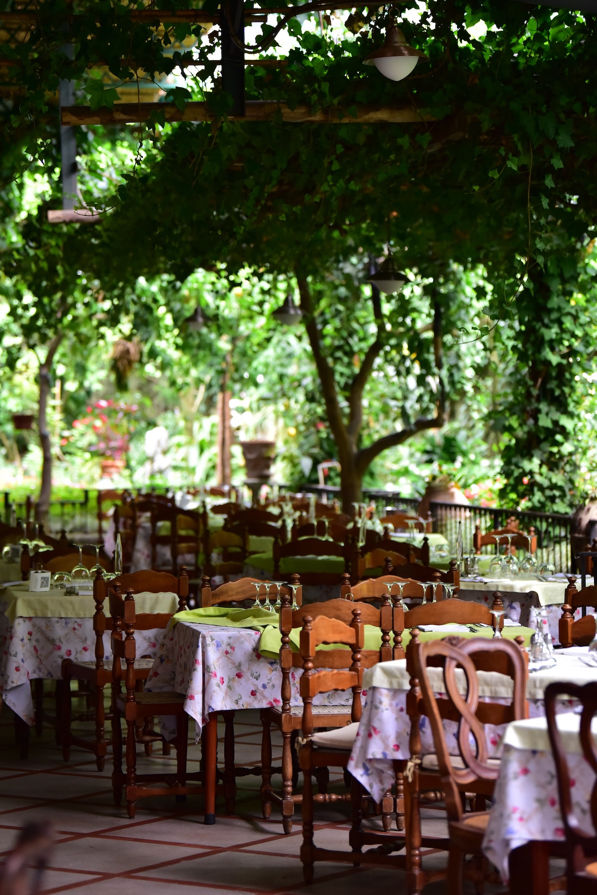 An outdoor seating area at a restaurant in Naples with a canopy of greenery