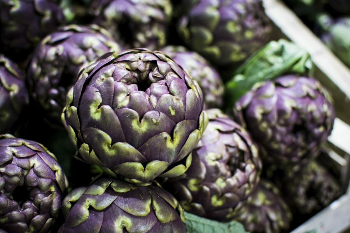 purple artichokes 