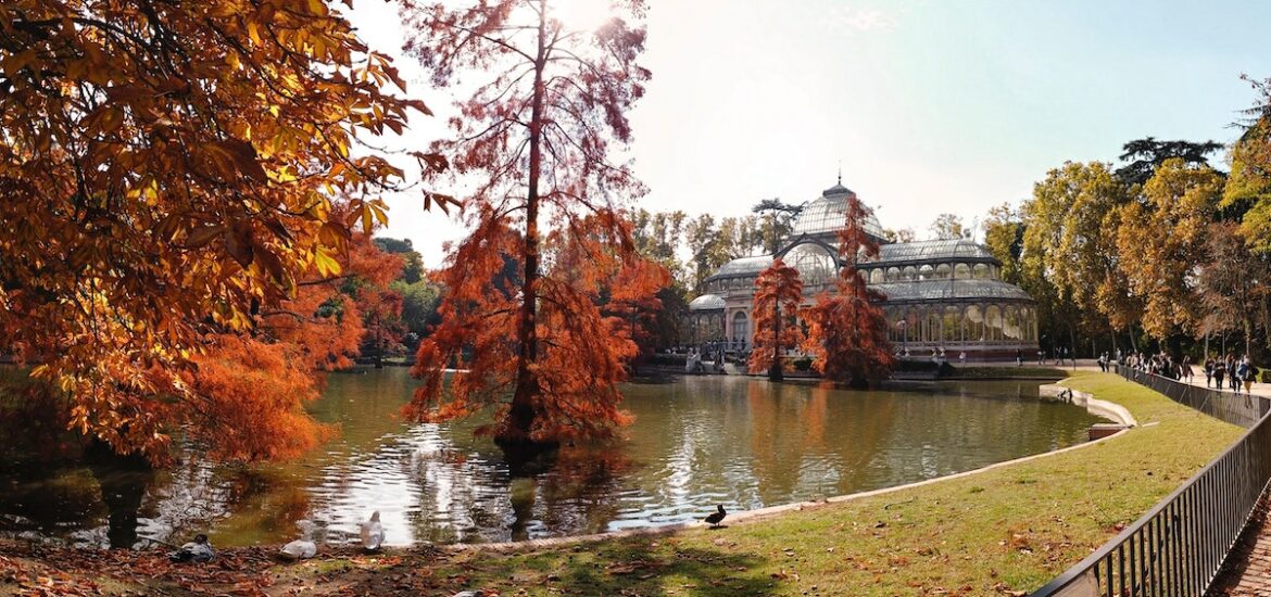 Orange trees in a park on a fall day with a small lake and clear glass structure in the background.