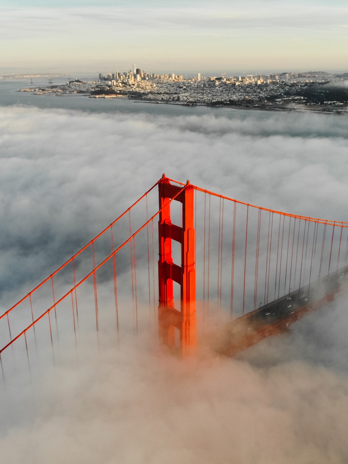 The Golden Gate bridge peeks out from the fog, with the city of San Francisco in the far background.