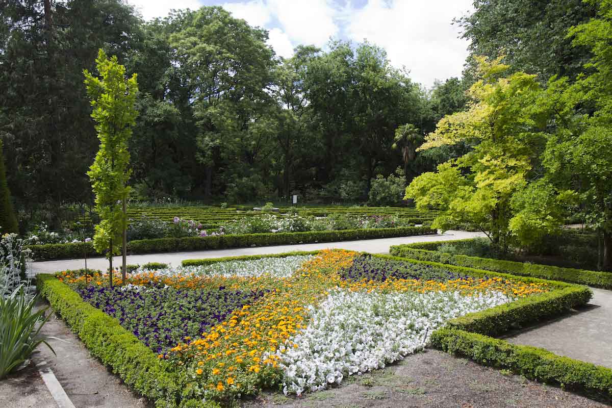 White, yellow, and dark purple flowers arranged in an X shape in a garden.