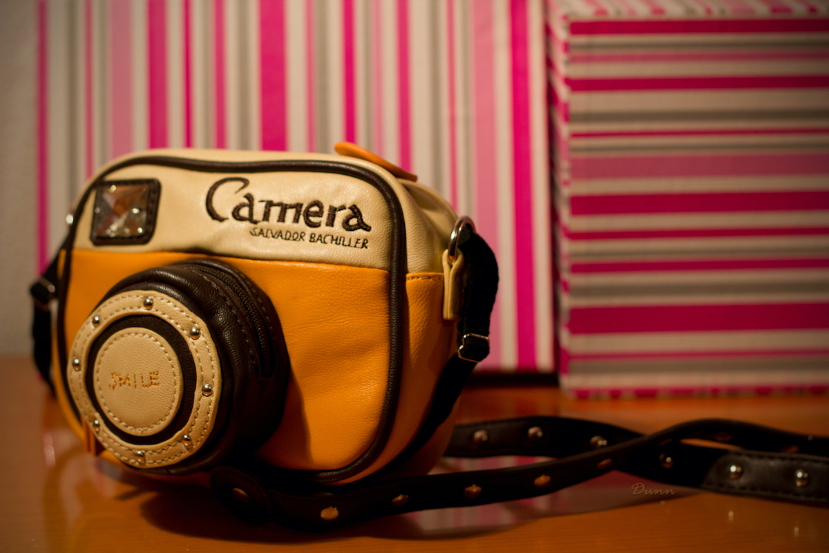 Leather handbag in the shape of a vintage camera in front of a pink, gray, and white striped wall