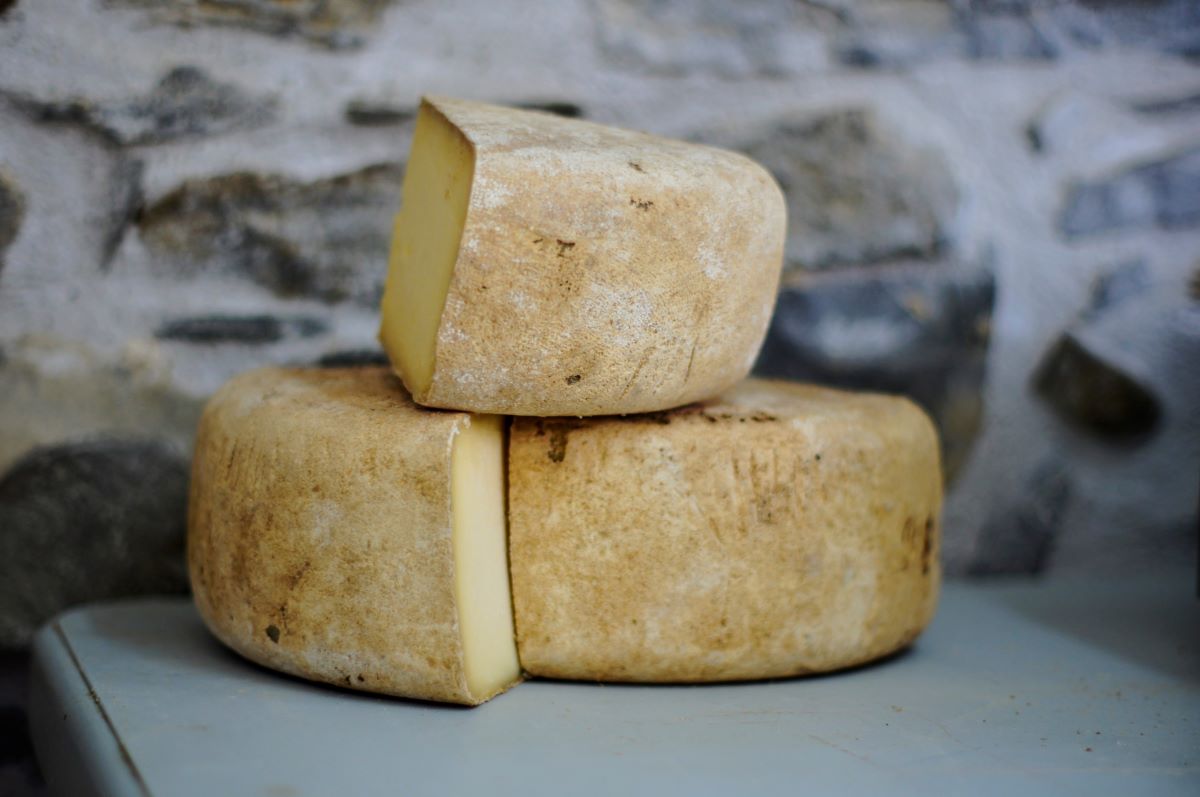 Blocks of cheese from San Sebastian are an artisinal treat. 
