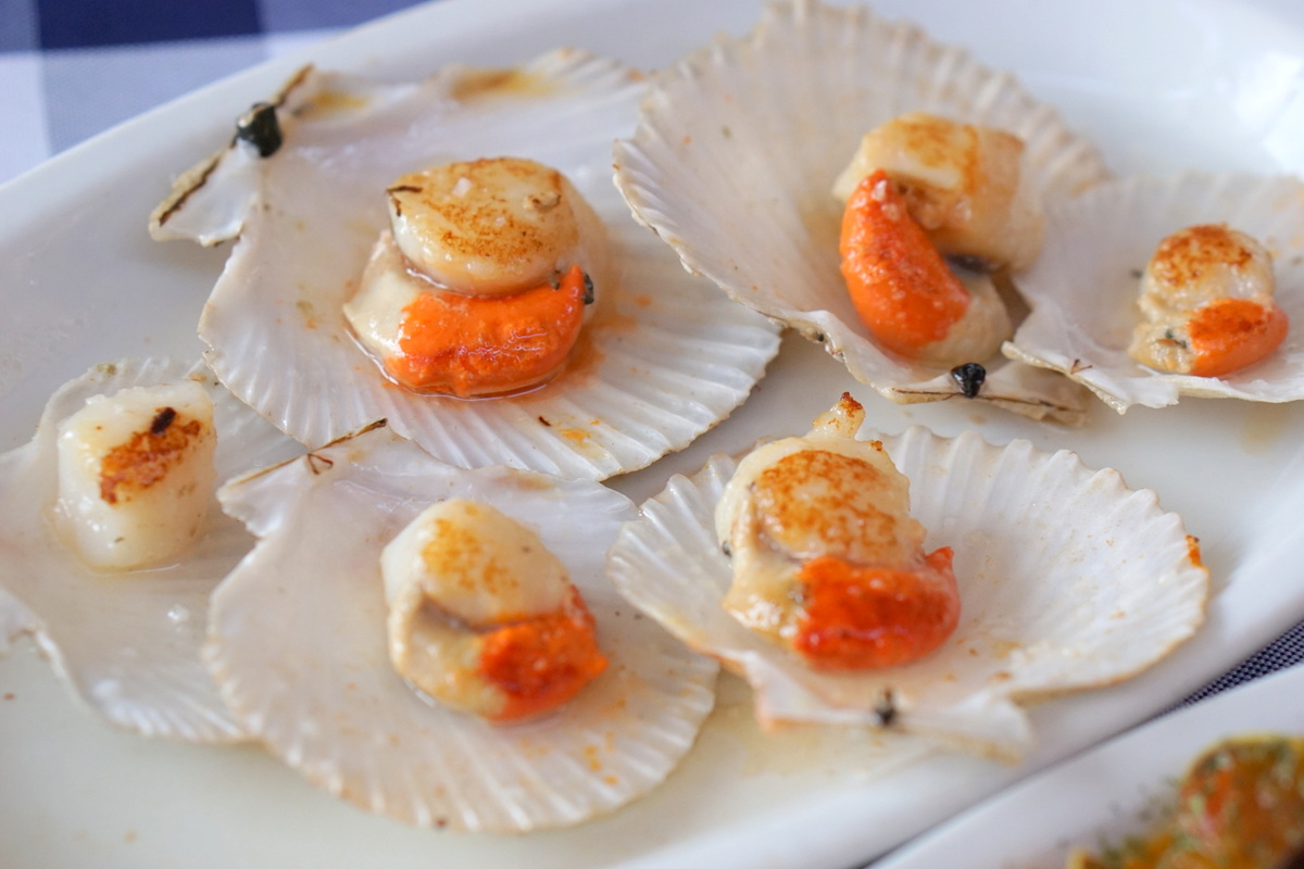 Red and white scallops in their shells