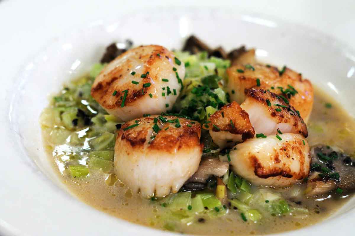 Scallops garnished with fresh herbs