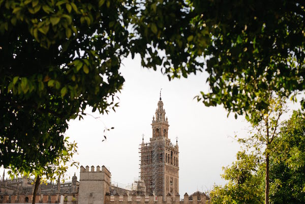 A visit to the Seville cathedral isn't complete until you see the views from the top.