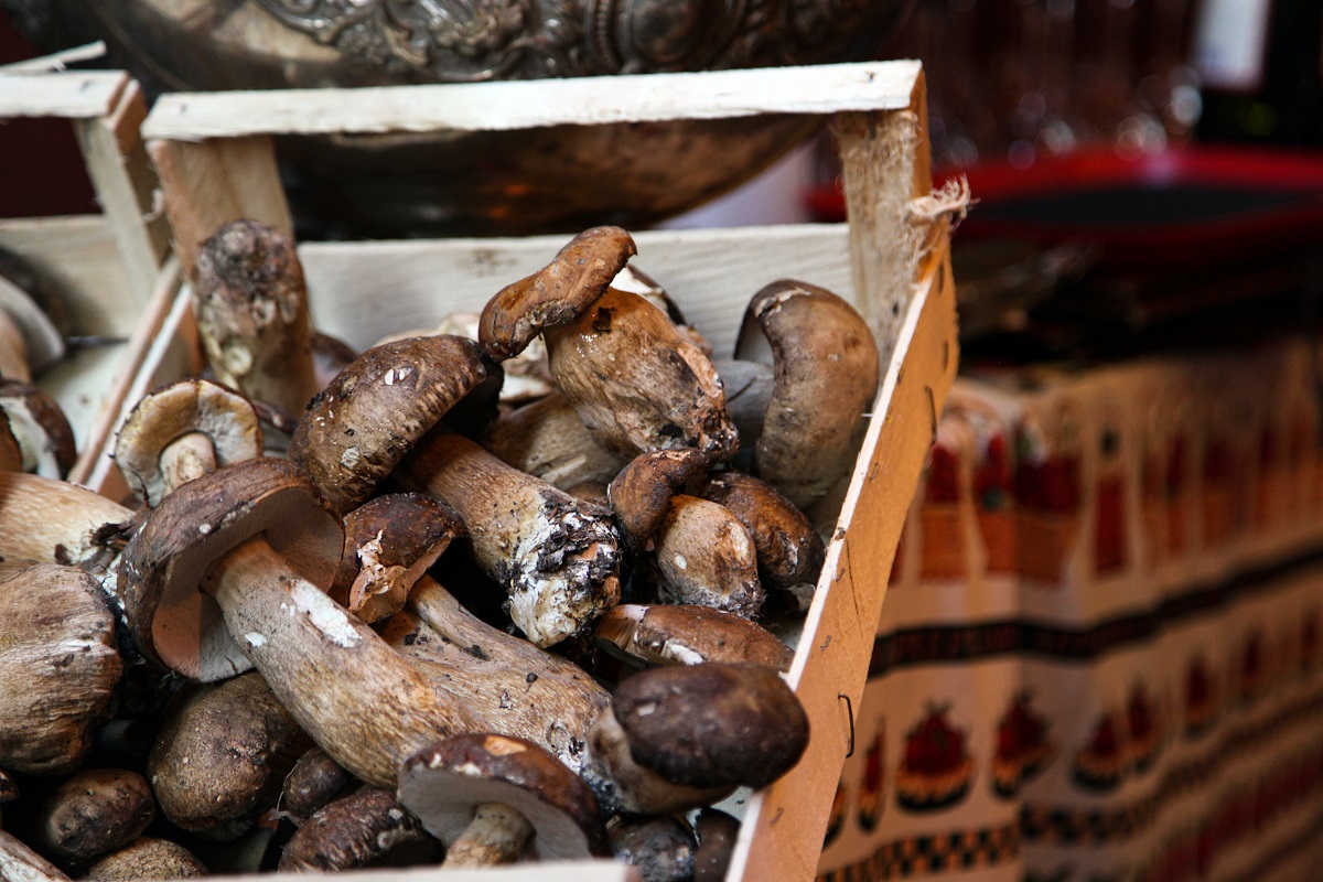 Venice food markets selling wild mushrooms.