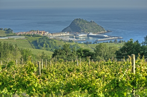 Wondering "what is txakoli?" Simply put, it's a wine from the Basque Country that you absolutely have to try!