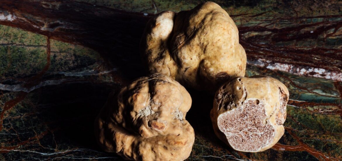 Three white truffles positioned against a dark background