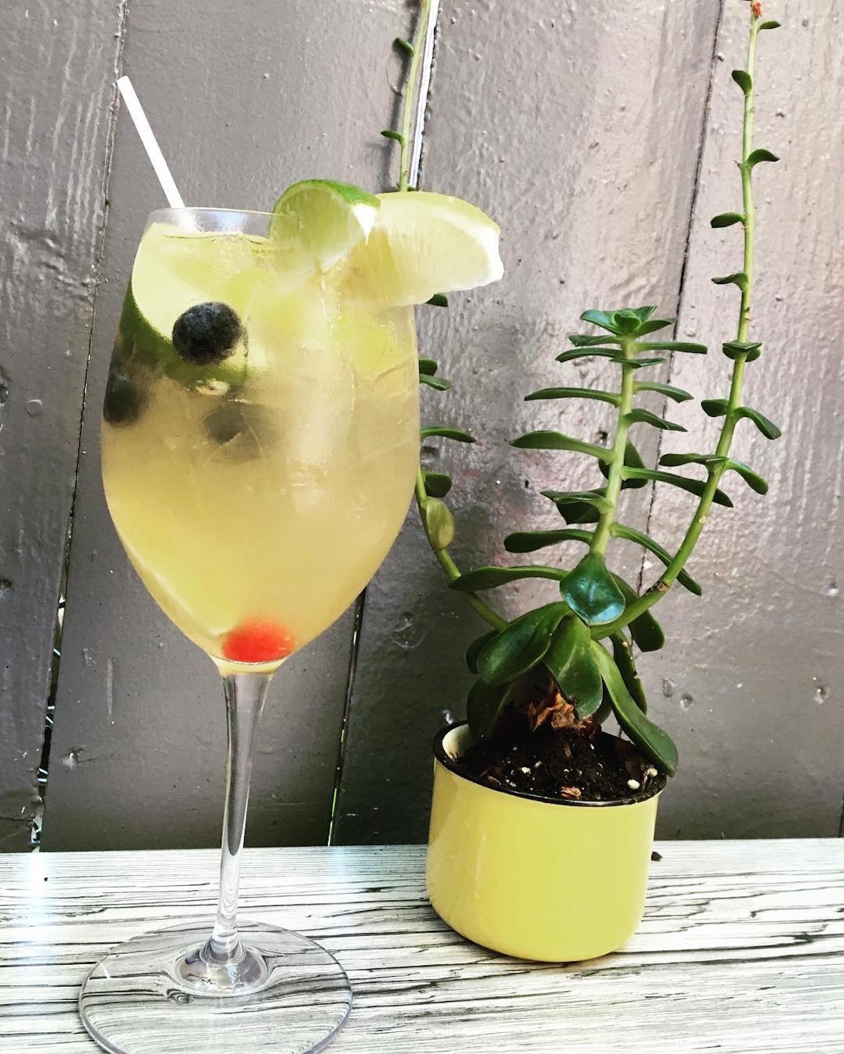 Tall glass of white wine sangria garnished with fruit beside a small plant