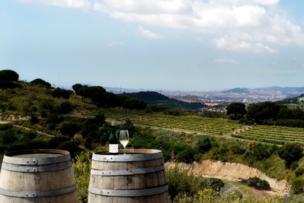 Our Farm-to-Table Winery Escape is one of the best vegetarian food tours in Barcelona for guests who want to escape the hustle and bustle of the city.